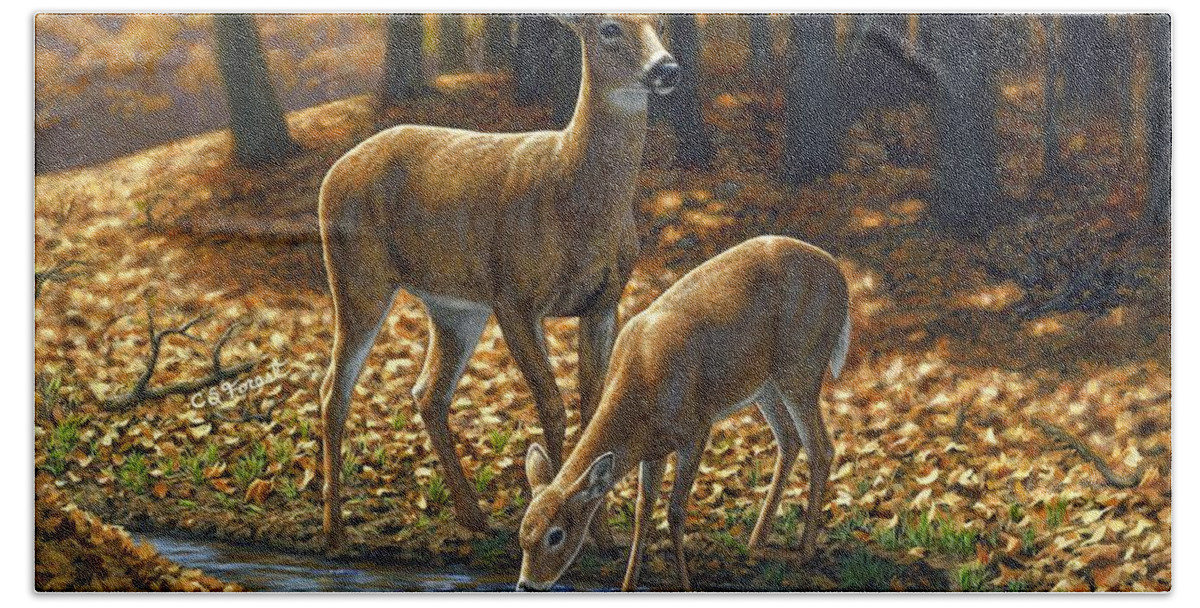 Deer Beach Towel featuring the painting Whitetail Deer - Autumn Innocence 1 by Crista Forest