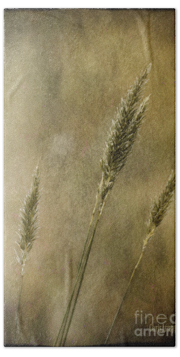 Grasses Beach Towel featuring the photograph Wild grasses by Chris Armytage