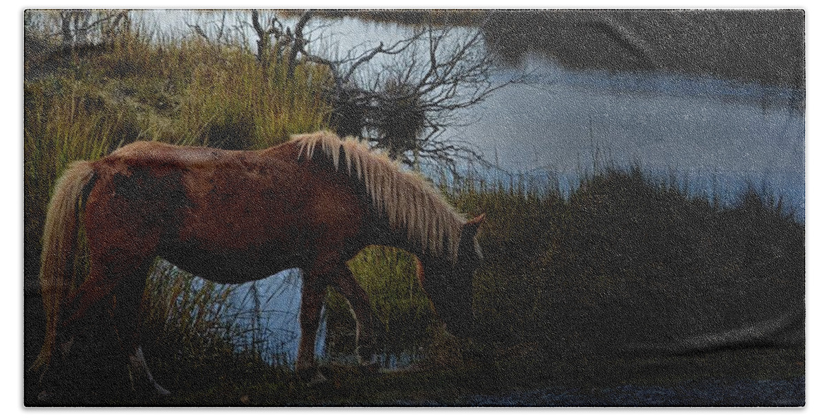 Horses Beach Towel featuring the photograph Wild One by Robert McCubbin