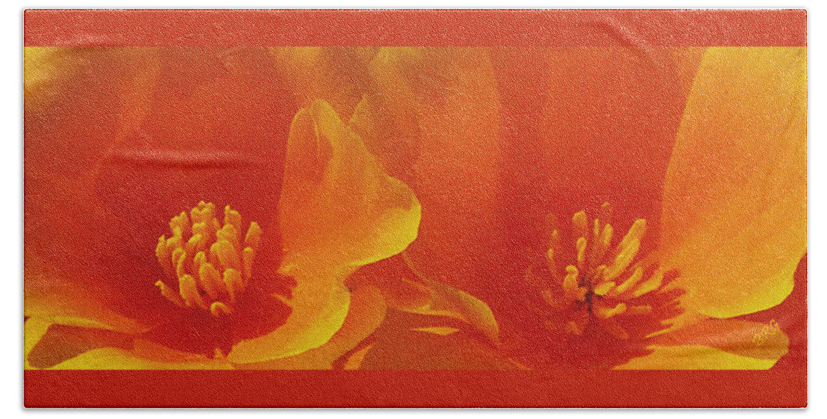 California Poppies Beach Towel featuring the photograph Wild Poppies by Ben and Raisa Gertsberg