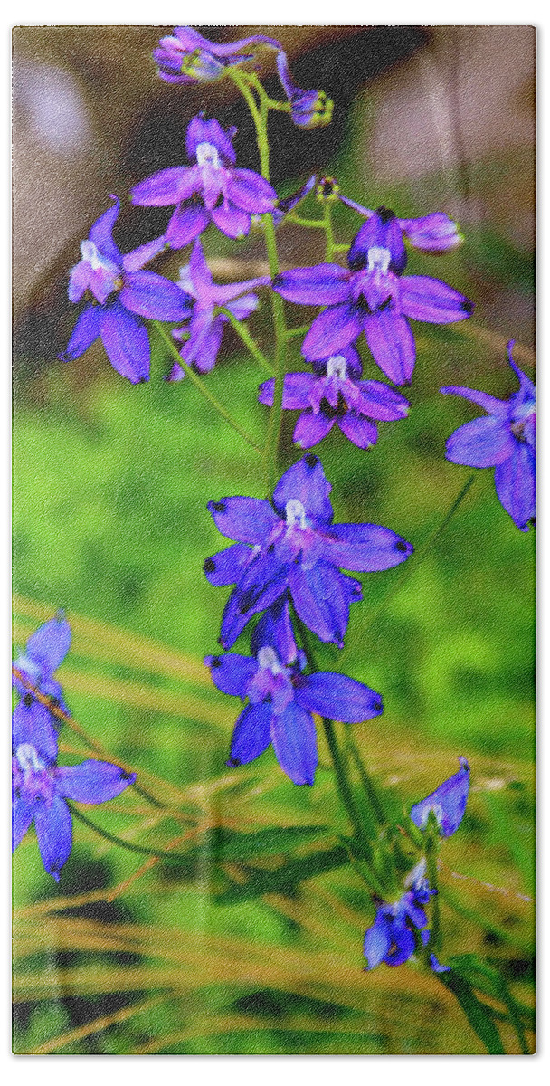 Larkspur Wildflowers Beach Towel featuring the photograph Wildflower Larkspur by Ed Riche