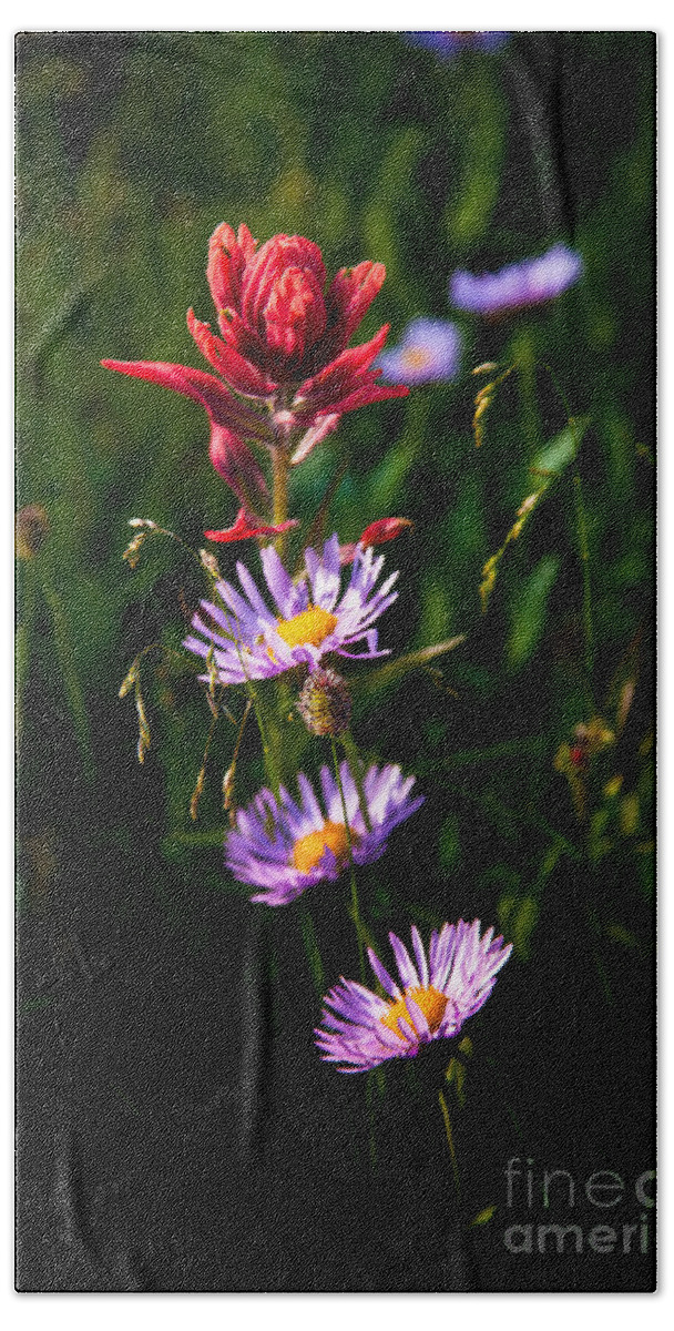 Landscape Beach Sheet featuring the photograph Wildflowers by Steven Reed