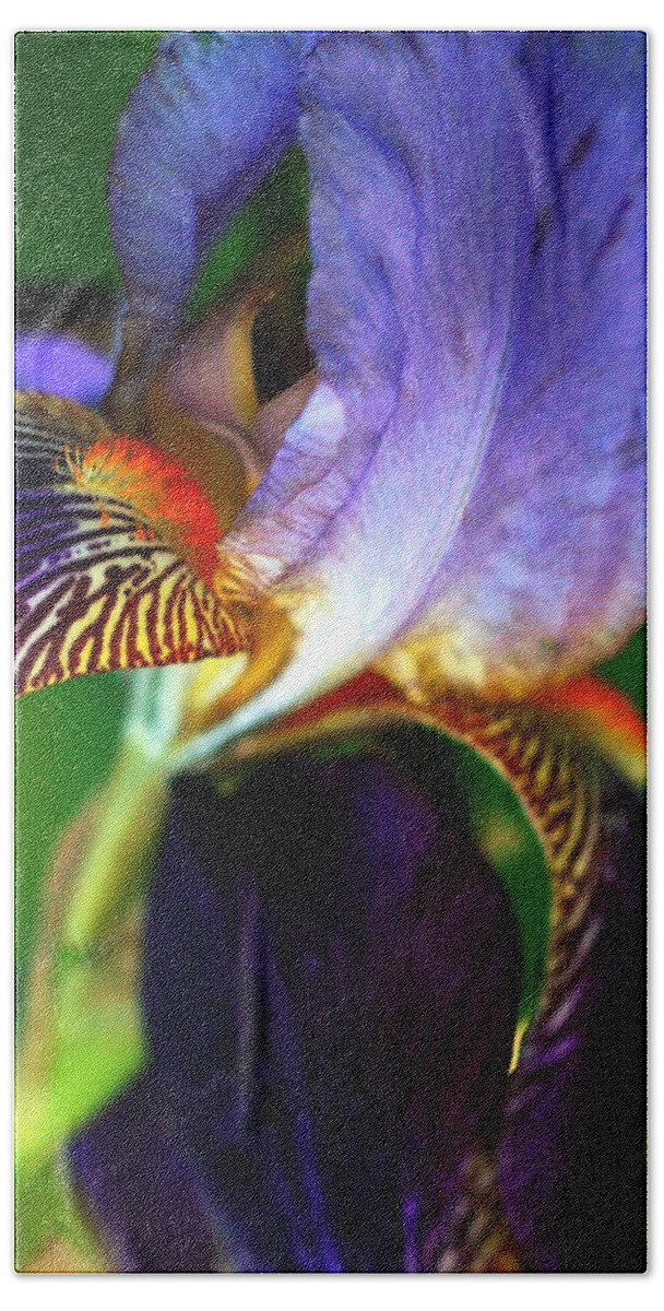 Iris Beach Towel featuring the photograph Wildly Colorful by Deborah Crew-Johnson