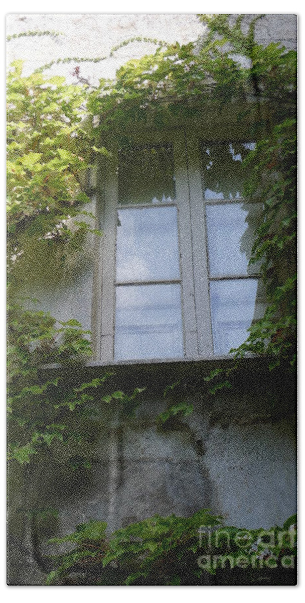  Beach Towel featuring the photograph Window and Ivy by Nora Boghossian