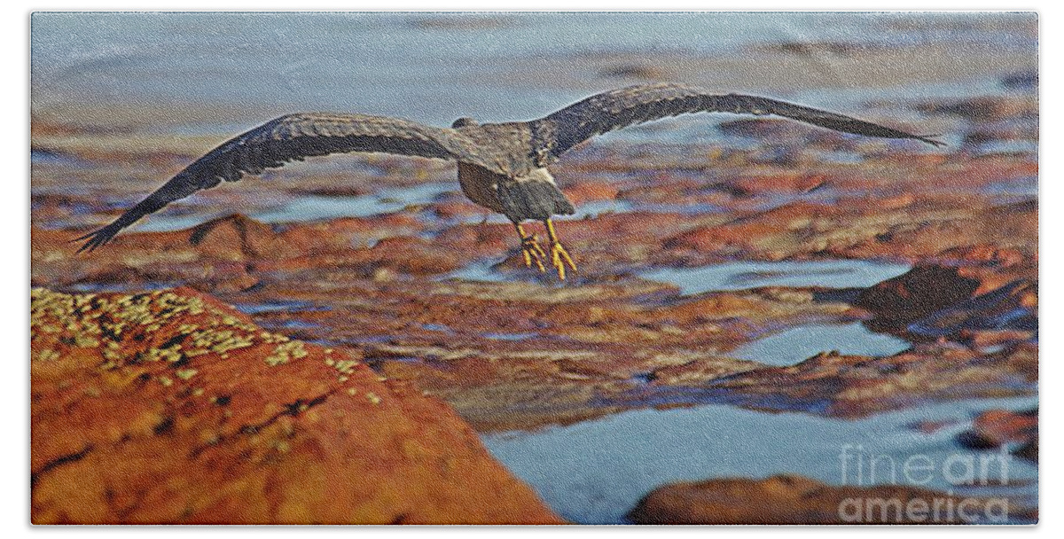 Wings Of Time Beach Towel featuring the photograph Wings of Time by Blair Stuart