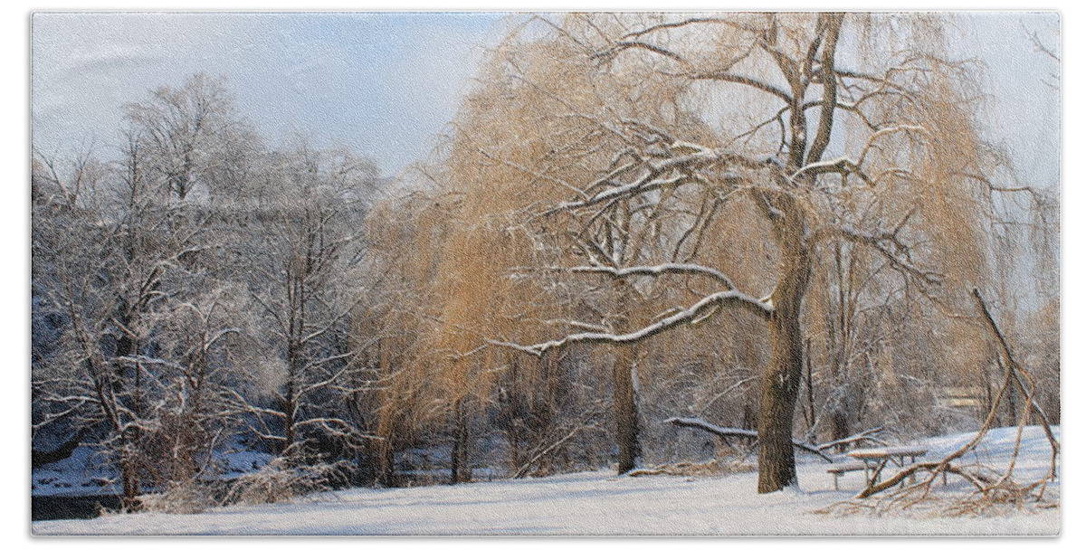 Trees Beach Sheet featuring the photograph Winter Along the River by Nina Silver