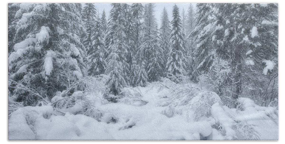  River Beach Towel featuring the photograph Winter Magic by Darren White