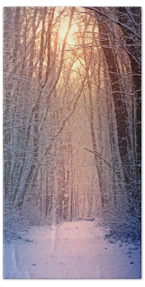 #winter Beach Towel featuring the photograph Winter Pathway by Rob Blair