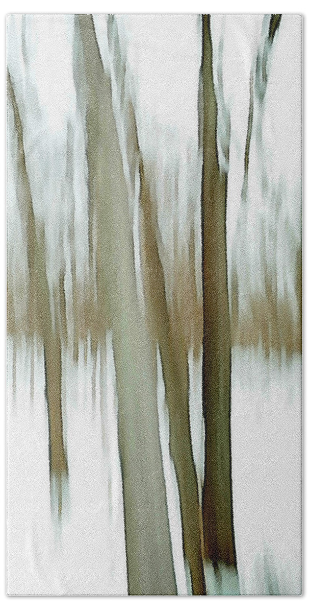 Forest Beach Towel featuring the photograph Winter by Steven Huszar