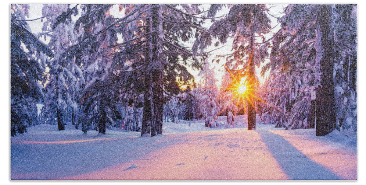 Sunset Beach Towel featuring the photograph Winter Sunset Through Trees by Priya Ghose