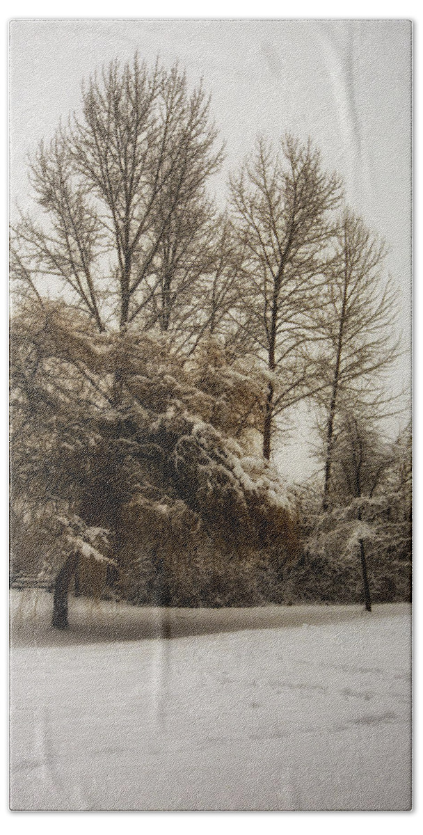 Scene Beach Sheet featuring the photograph Winter trees by Eti Reid