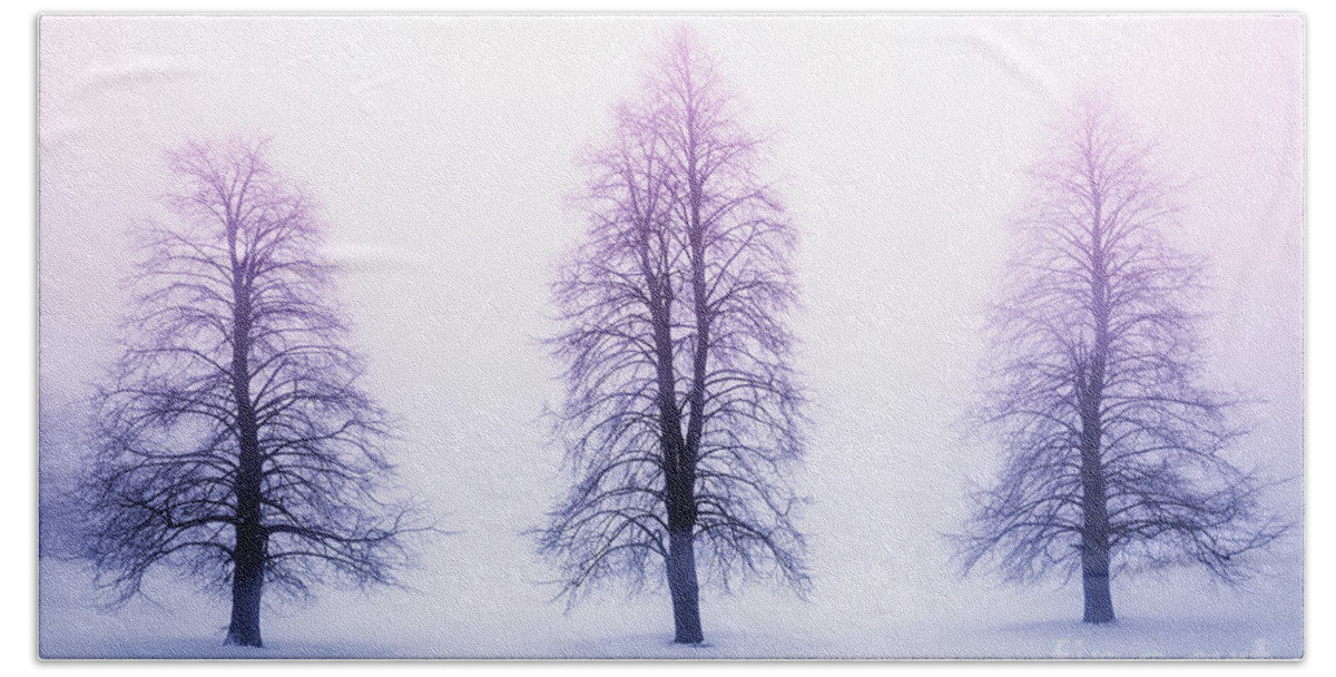 Trees Beach Towel featuring the photograph Winter trees in fog at sunrise by Elena Elisseeva