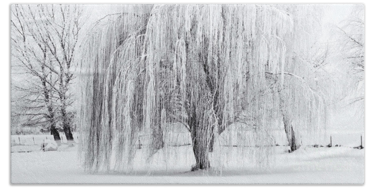 Willow Beach Towel featuring the photograph Winter Willow by Michael Dawson