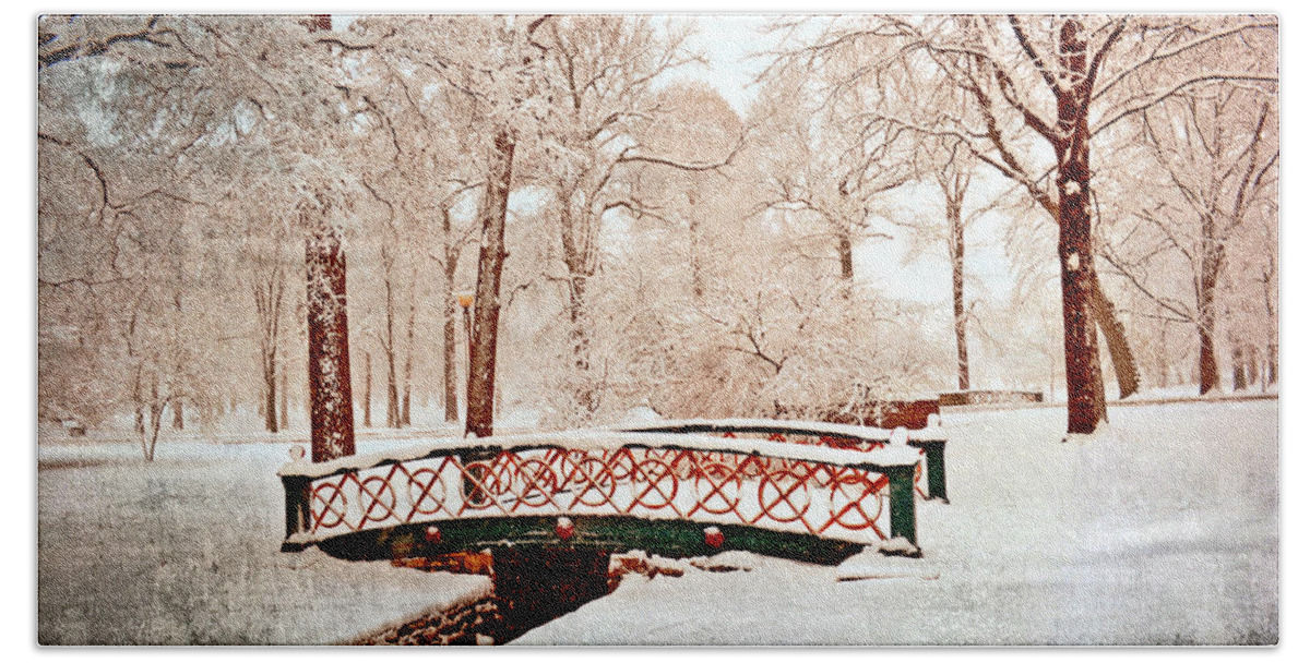 Bridge Beach Towel featuring the photograph Winter's Bridge by Marty Koch