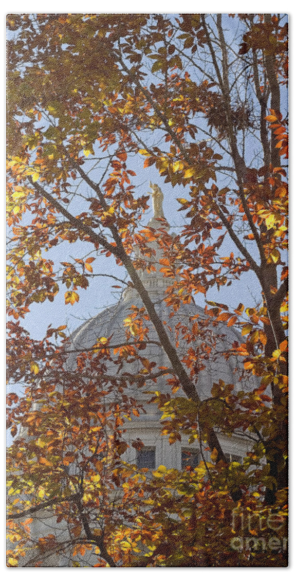 Capitol Beach Towel featuring the photograph Wisconsin Capitol by Steven Ralser