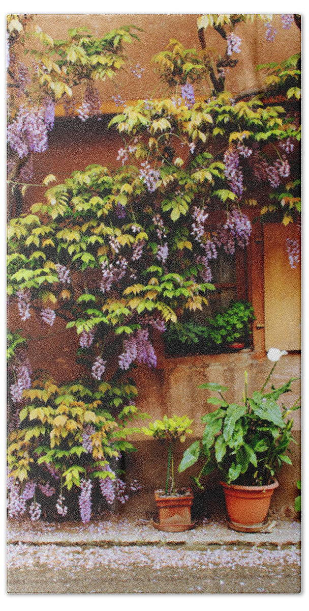 Wisteria Beach Towel featuring the photograph Wisteria on Home in Zellenberg 4 by Greg Matchick