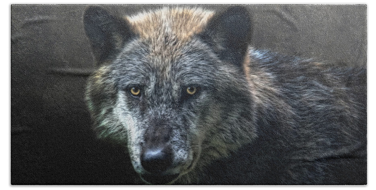 Animal Beach Towel featuring the photograph Wolfman by Joachim G Pinkawa