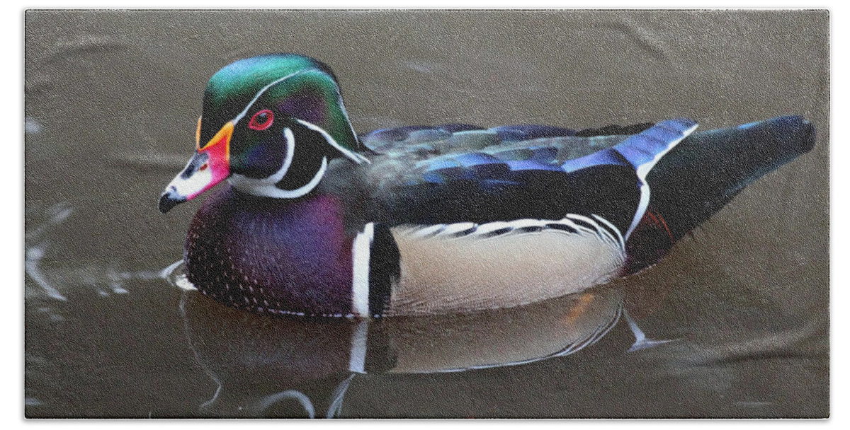 Wood Duck Beach Towel featuring the photograph Wood Duck by Shoal Hollingsworth