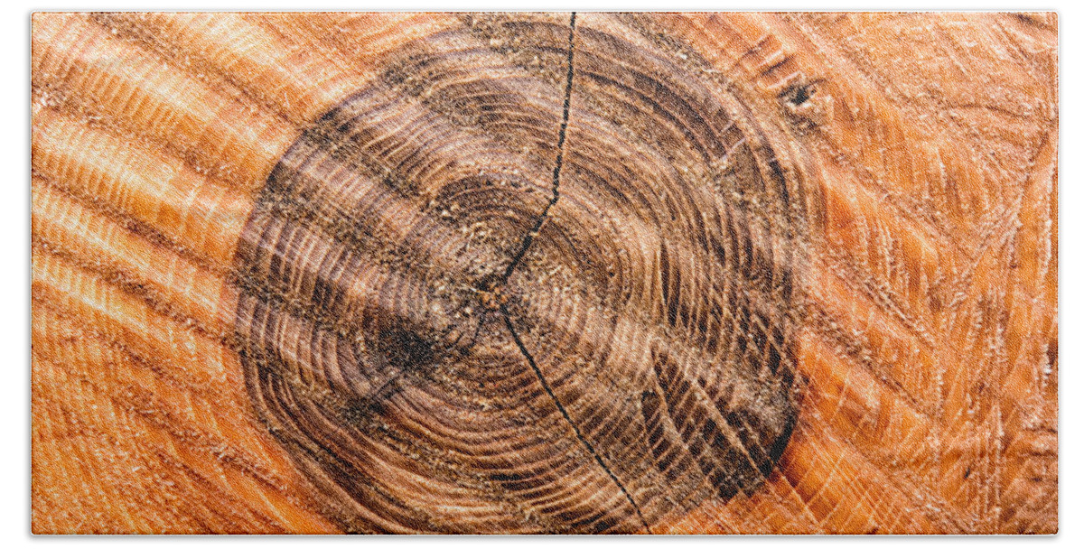 Wood Beach Towel featuring the photograph Wood surface with annual rings by Matthias Hauser
