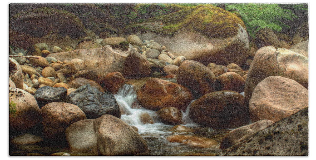 Water Beach Towel featuring the photograph Woodland Waters by Randy Hall