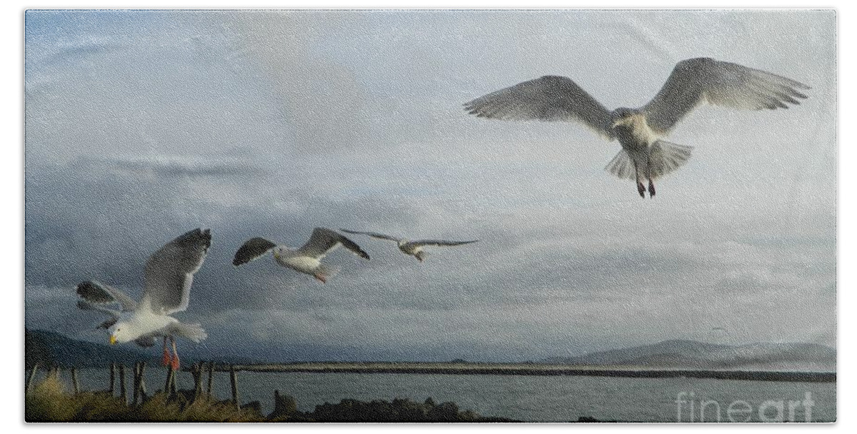 Birds Beach Towel featuring the photograph Wow Seagulls 2 by Gallery Of Hope 
