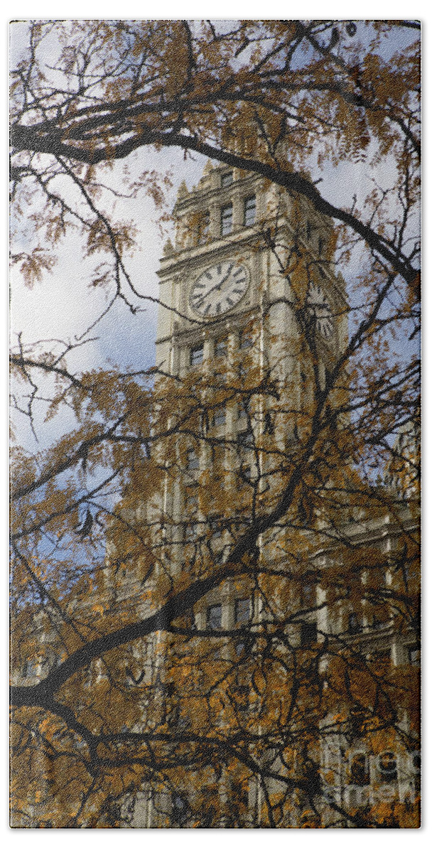 Wrigley Beach Towel featuring the photograph Wrigley Building in Autumn by Leslie Leda