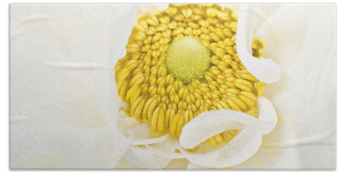 Floral Beach Towel featuring the photograph Yellow Embrace by Priya Ghose