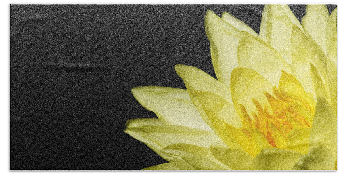 Water Lily Beach Towel featuring the photograph Yellow Flames by Rebecca Cozart