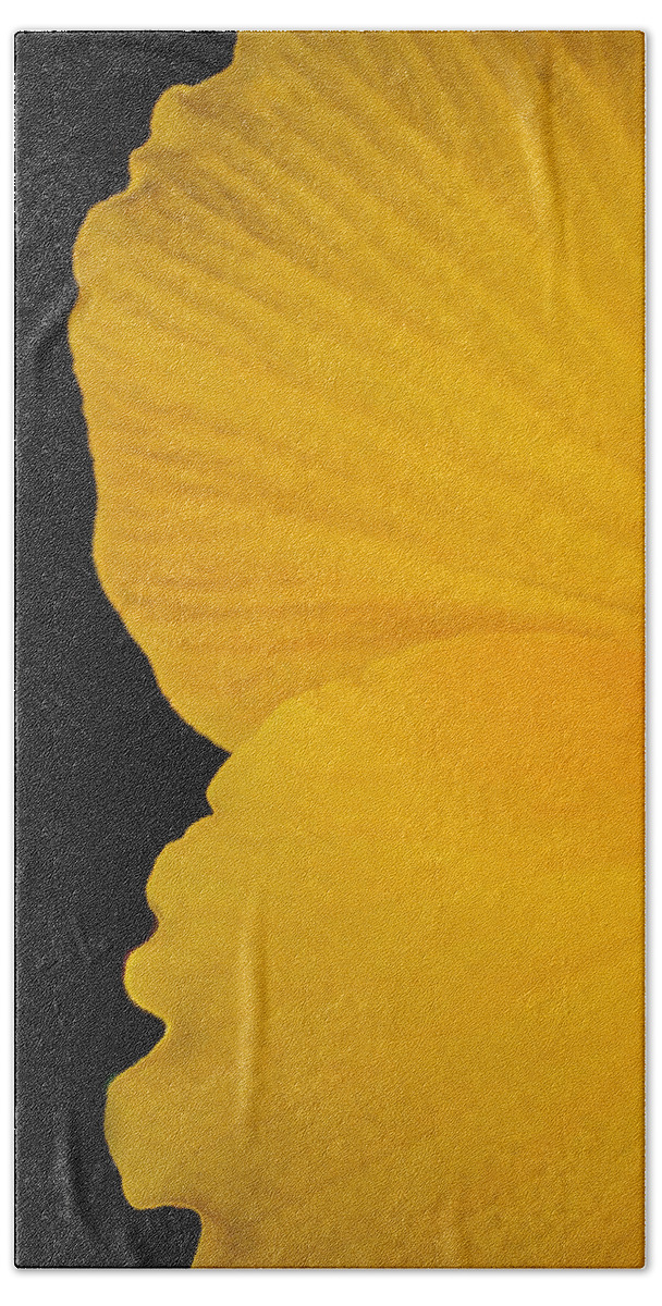 Yellow Hibiscus Beach Sheet featuring the photograph Yellow Hibiscus Left Side of Triptych by TK Goforth
