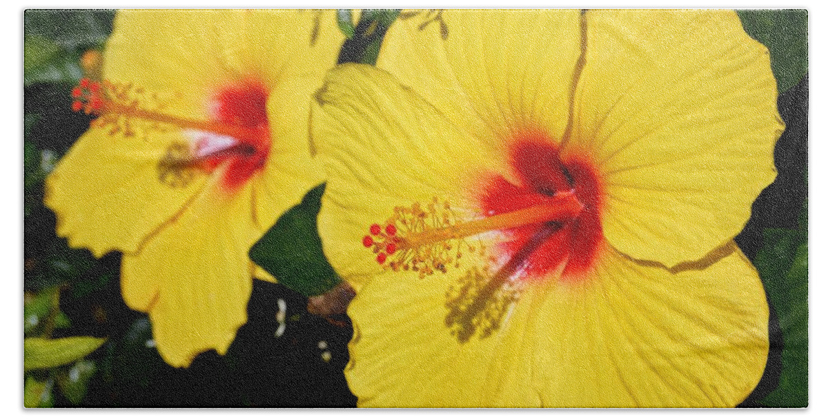 Yellow Beach Sheet featuring the photograph Yellow Hibiscus by Sharon Woerner