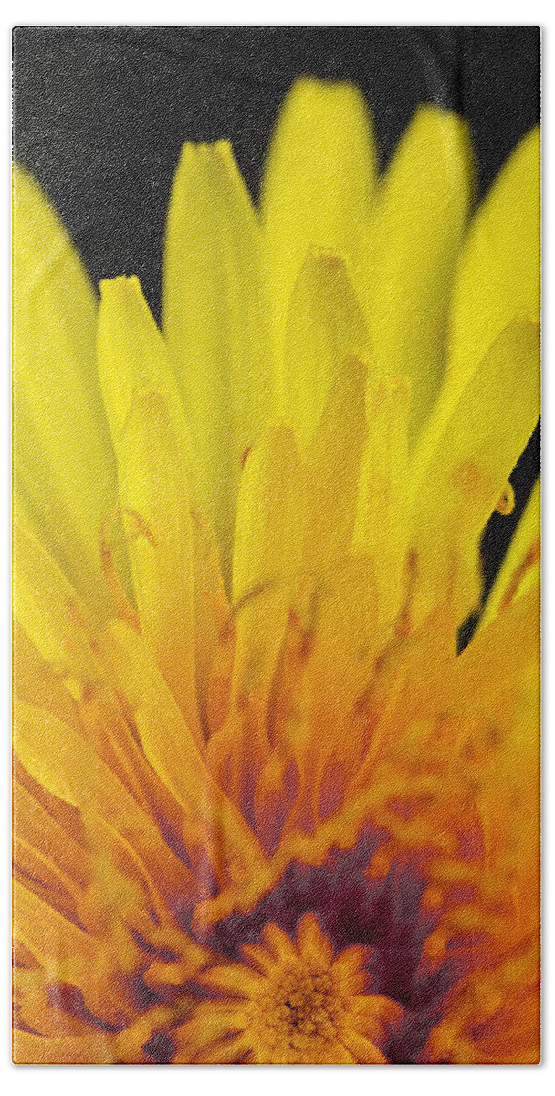 Flower Beach Towel featuring the photograph Yellow by Raffaella Lunelli
