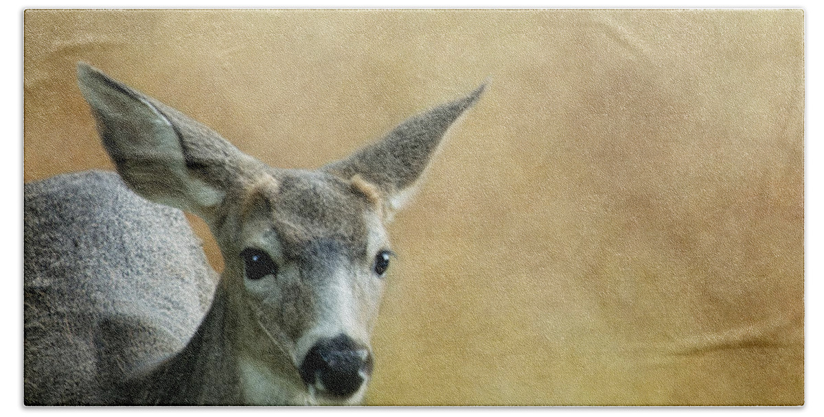 Deer Beach Sheet featuring the photograph Young Buck by Belinda Greb