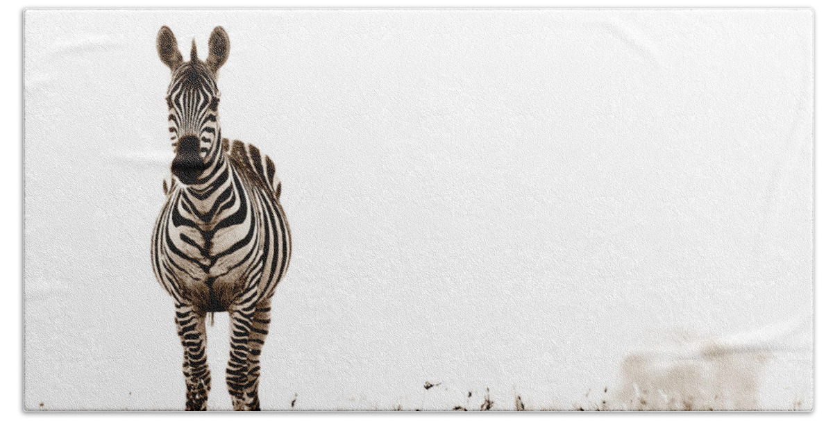 Africa Beach Towel featuring the photograph Zebra Facing Forward Washed Out Sky Bw by Mike Gaudaur