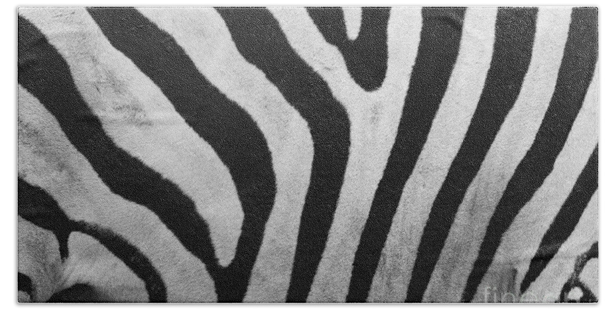 Zebra Beach Towel featuring the photograph Zebra pattern close up by Michal Bednarek