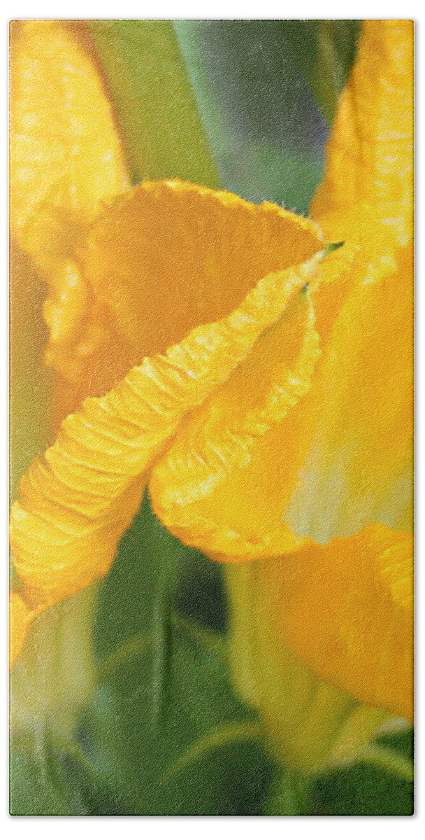 Zucchini Flowers Beach Towel featuring the photograph Zucchini Flowers in May by Kume Bryant
