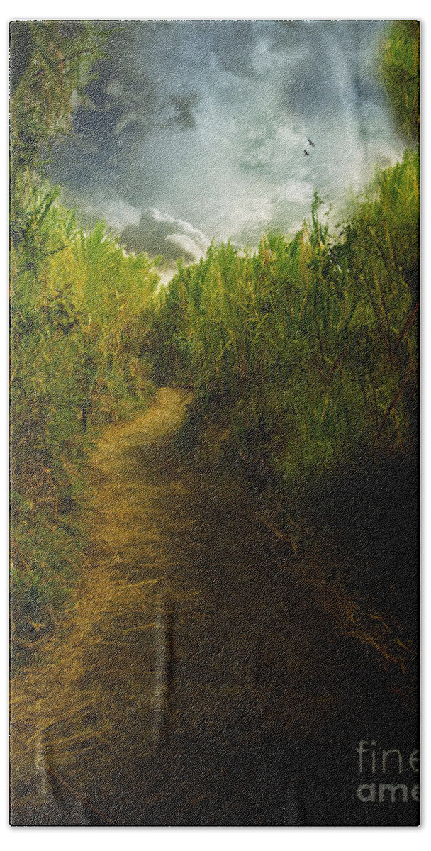 Forest Beach Sheet featuring the photograph Follow The Path by Elaine Manley