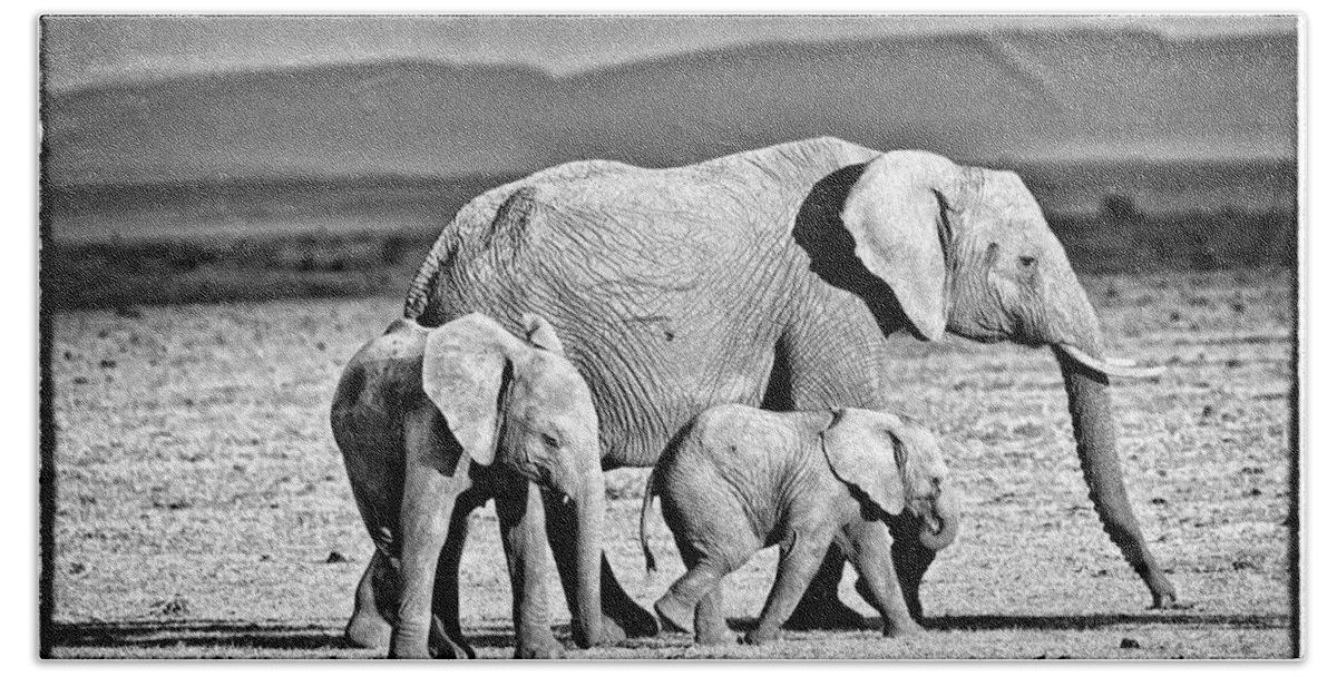 Africa Beach Towel featuring the photograph African Elephant in the Masai Mara #2 by Perla Copernik