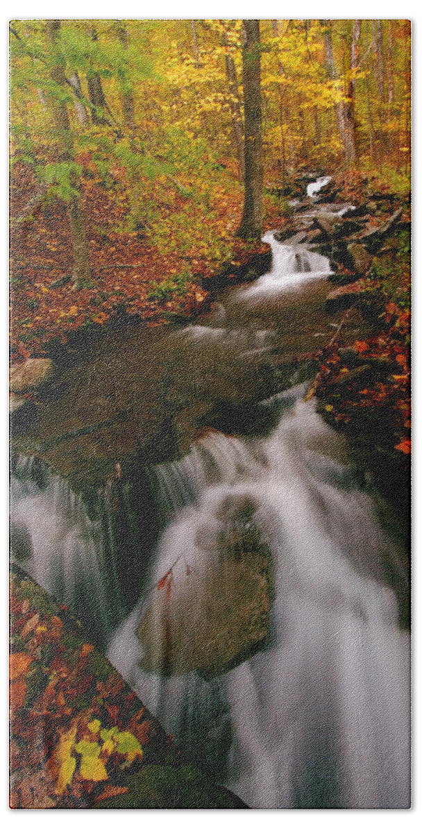 Autumn Beach Sheet featuring the photograph Autumn in New York #1 by Neil Shapiro