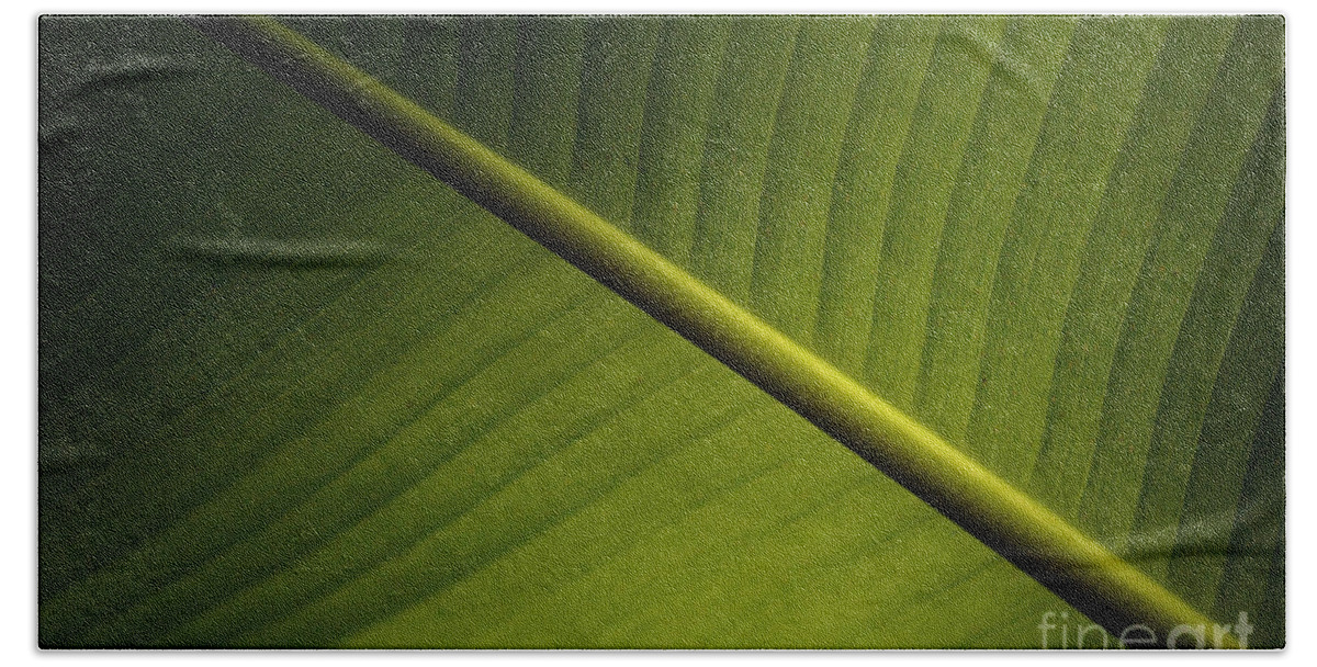 Banana Leaf Beach Towel featuring the photograph Banana Leaf #1 by Bob Christopher