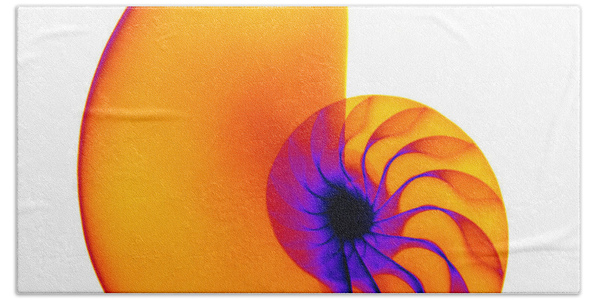 Xray Beach Towel featuring the photograph Chambered Nautilus Shell #1 by Ted Kinsman