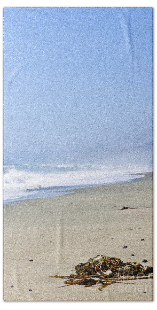 Pacific Beach Towel featuring the photograph Coast of Pacific ocean in Canada 2 by Elena Elisseeva