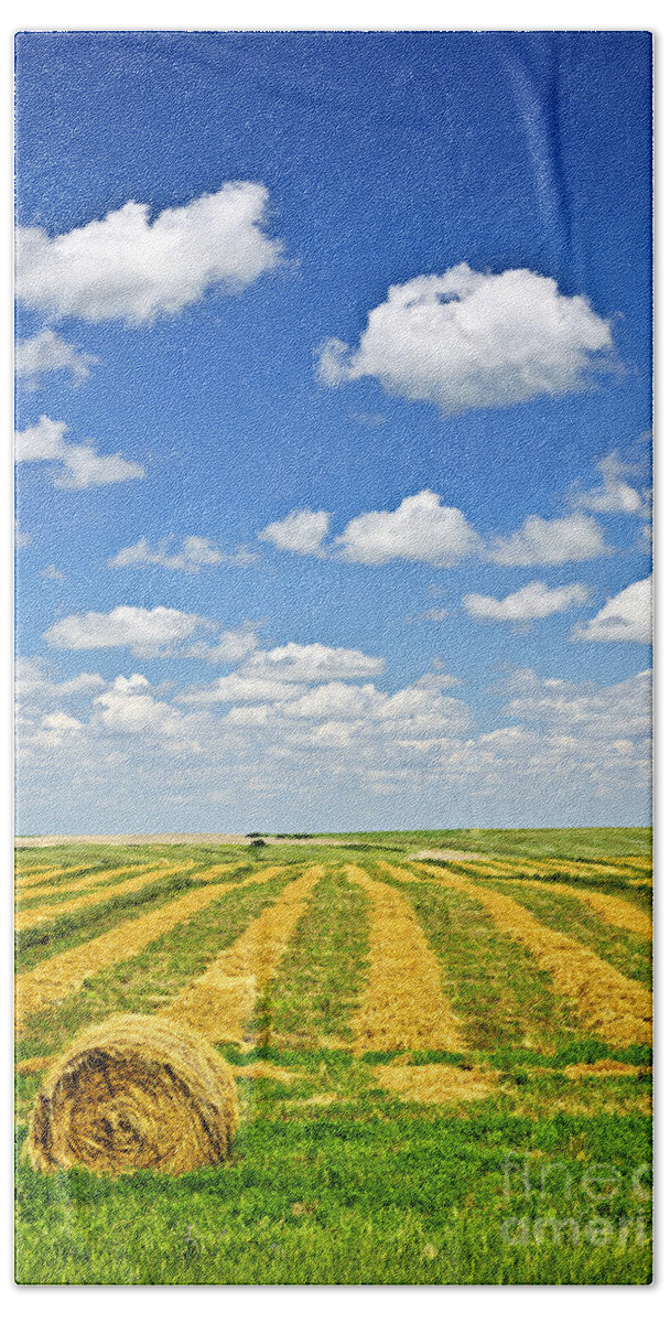 Agriculture Beach Towel featuring the photograph Farm field at harvest in Saskatchewan 1 by Elena Elisseeva