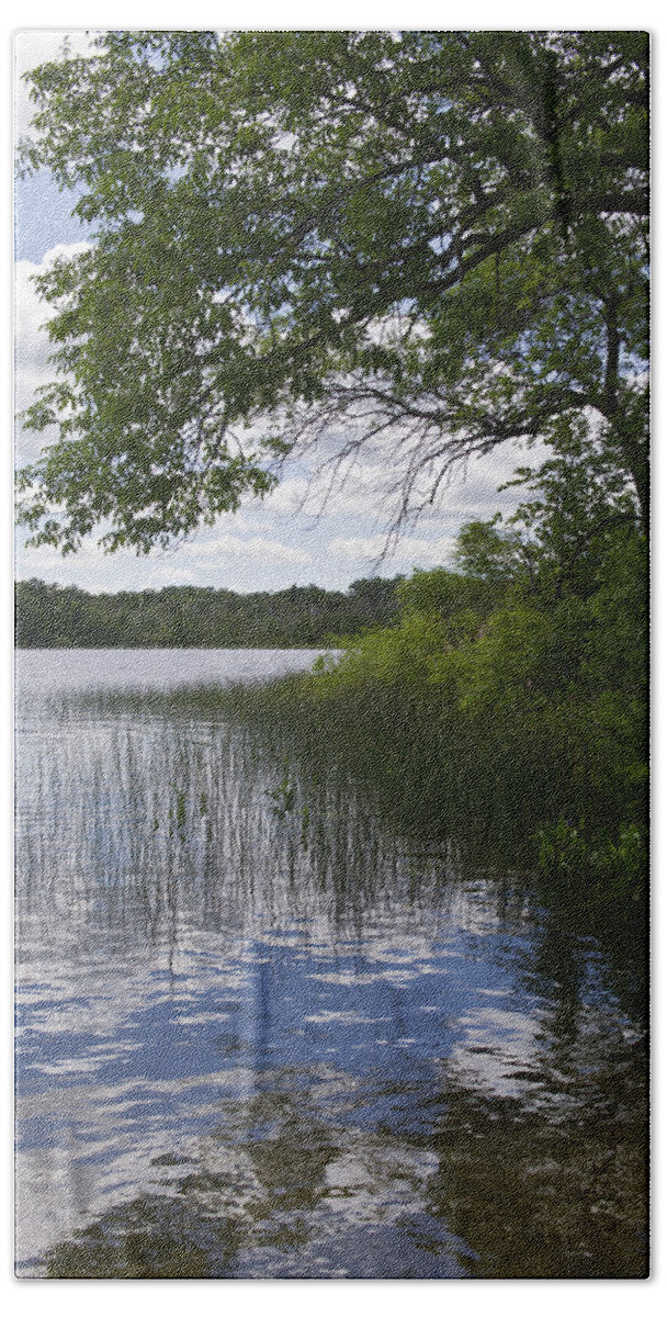 Borden Lake Beach Towel featuring the photograph Lake shore #2 by Gary Eason