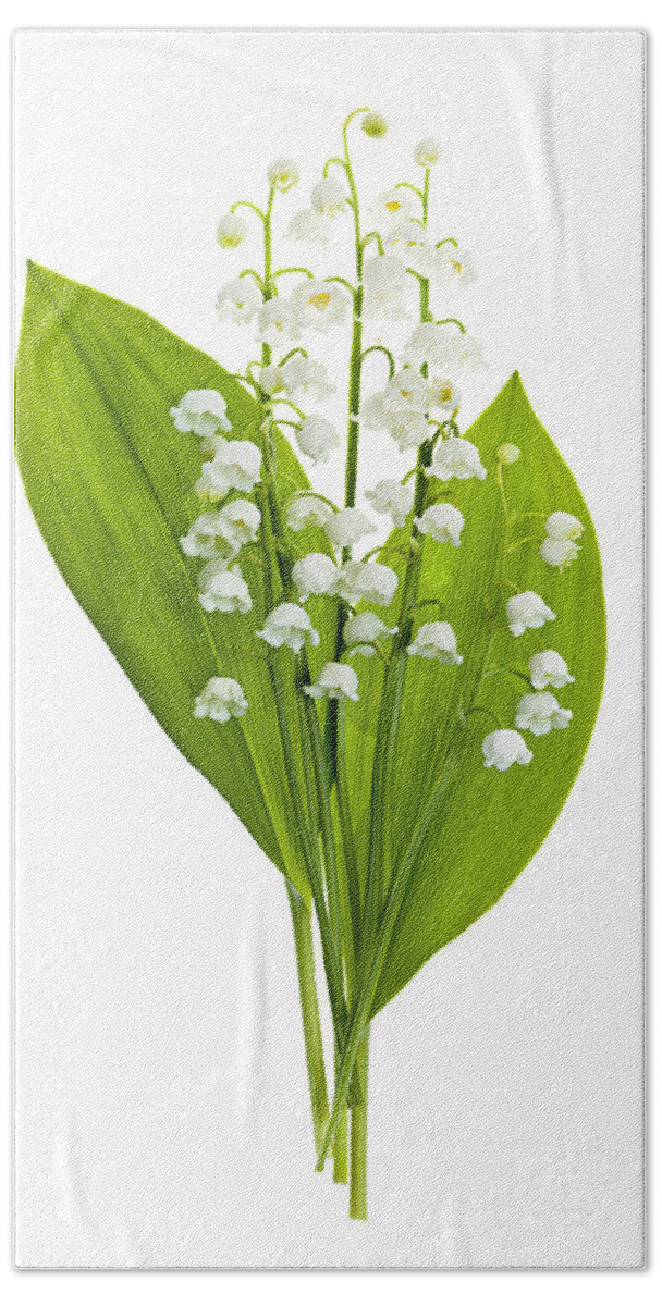 Flower Beach Towel featuring the photograph Lily-of-the-valley flowers #4 by Elena Elisseeva