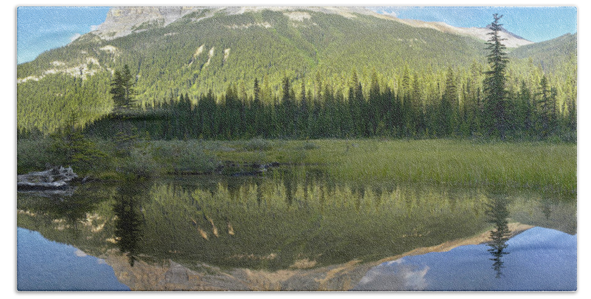 00175321 Beach Towel featuring the photograph Mt Burgess Reflected In Emerald Lake #1 by Tim Fitzharris
