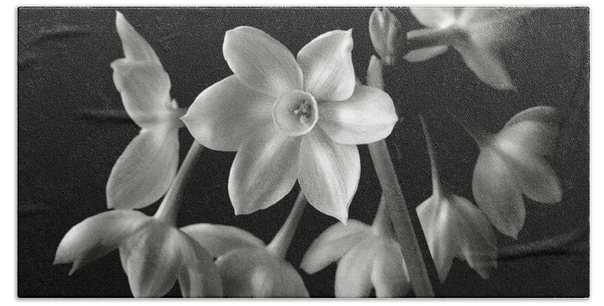 Flower Beach Towel featuring the photograph Narcissus in Black and White #1 by Endre Balogh