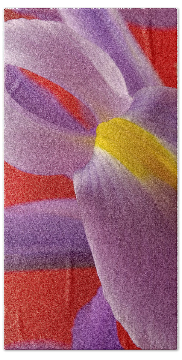 Flowers Beach Towel featuring the photograph Photograph of a Dutch Iris #2 by Perla Copernik