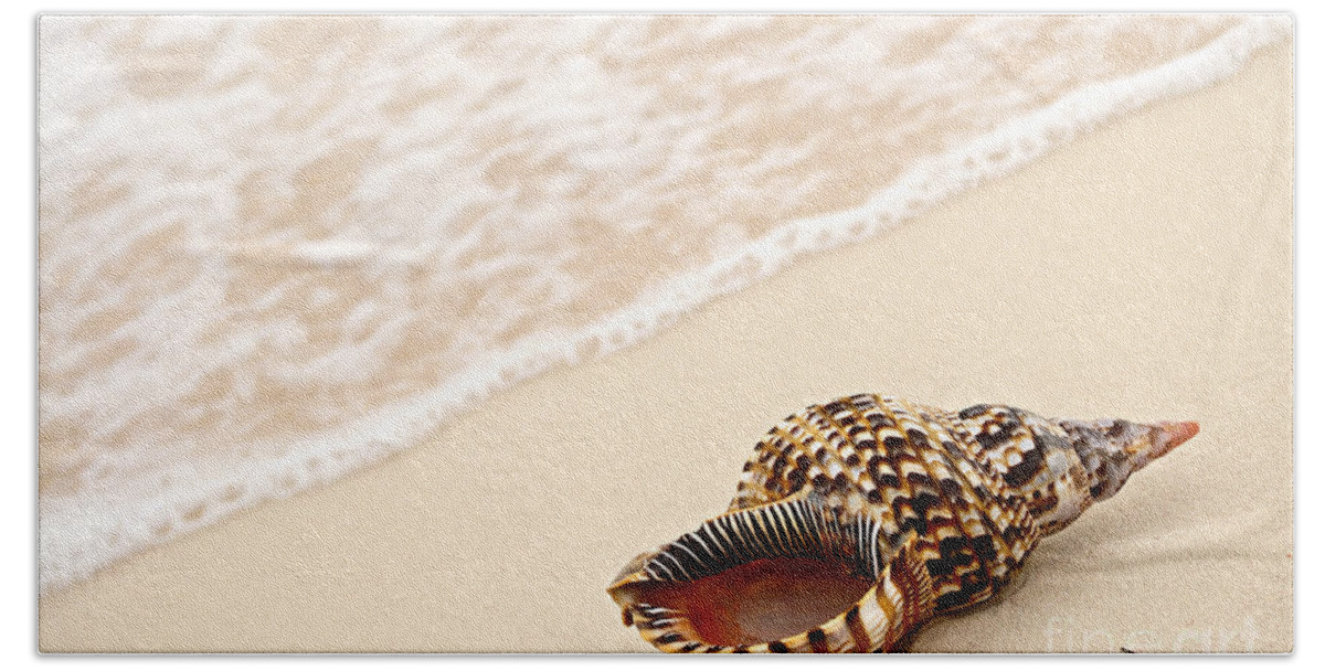 Seashell Beach Towel featuring the photograph Seashell and ocean wave 3 by Elena Elisseeva