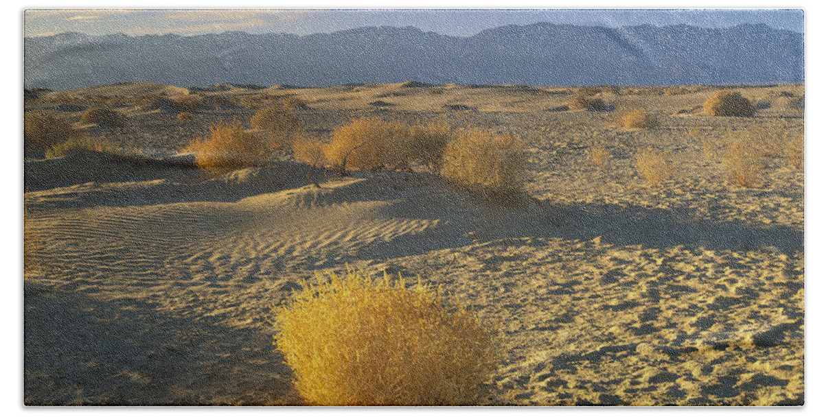 00173155 Beach Towel featuring the photograph Mesquite Flat Sand Dunes Death Valley #2 by Tim Fitzharris