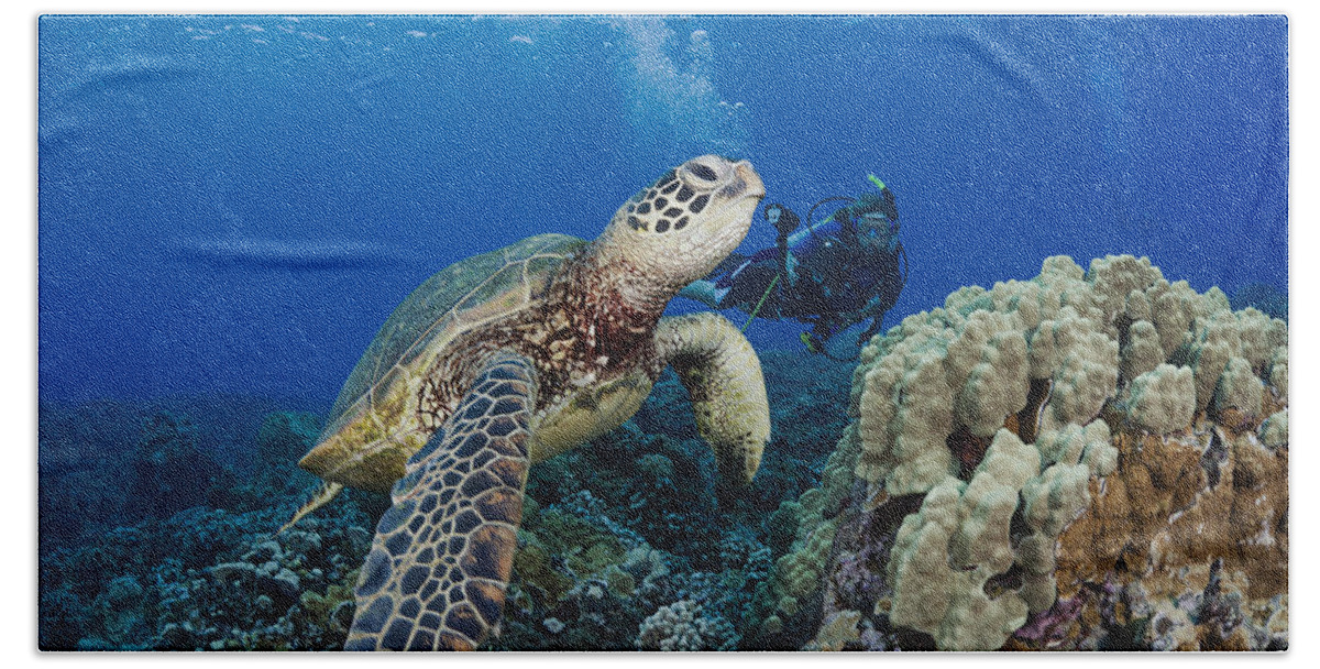 Animal Beach Towel featuring the photograph Green Sea Turtle #23 by Dave Fleetham - Printscapes